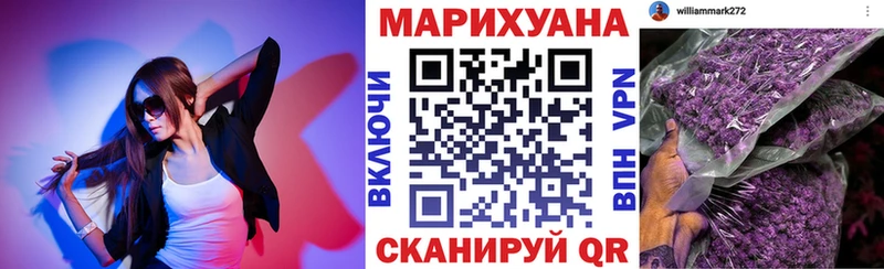 Марихуана гибрид  Зея 